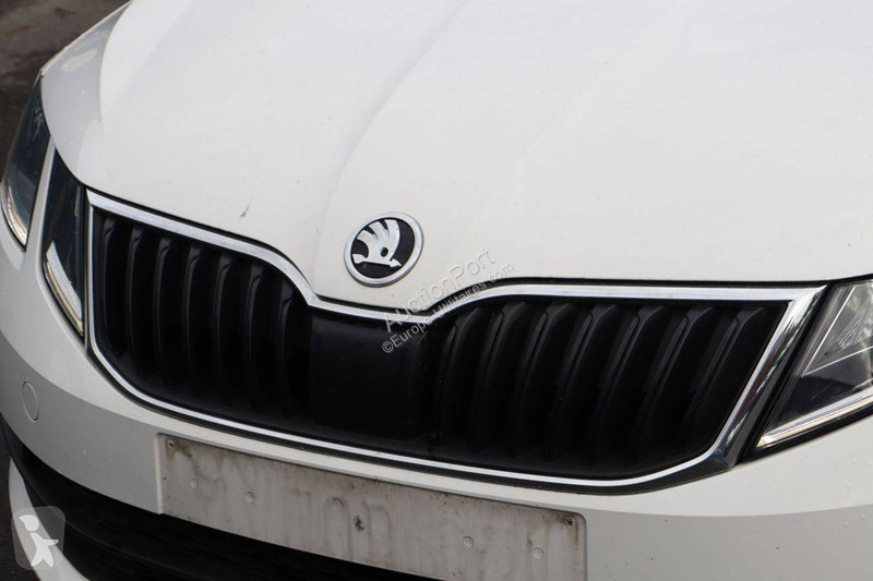 Furgoneta Skoda