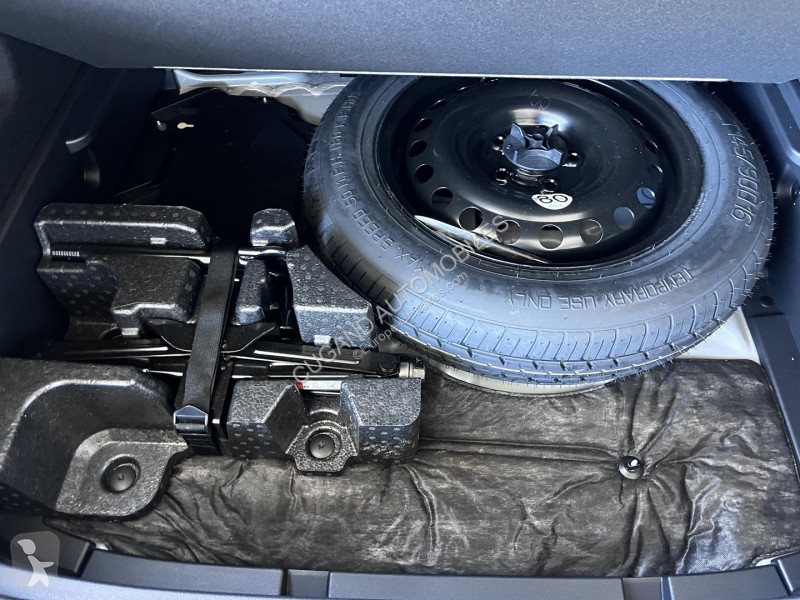 Véhicule utilitaire Renault ARKANA 1.6 E-TECH...