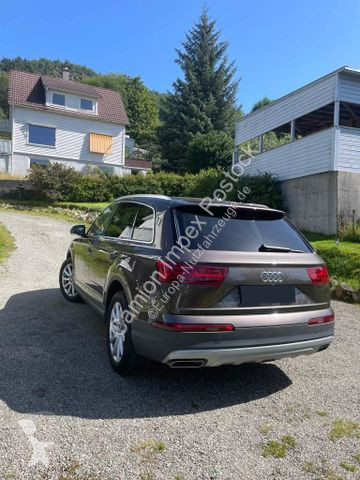 Véhicule utilitaire Audi 50 TDI quattro tiptronic
