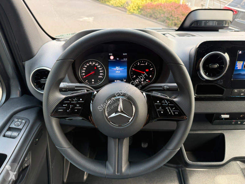Mercedes 317 CDI 9G 3665 AHK3,5 Klima 360...