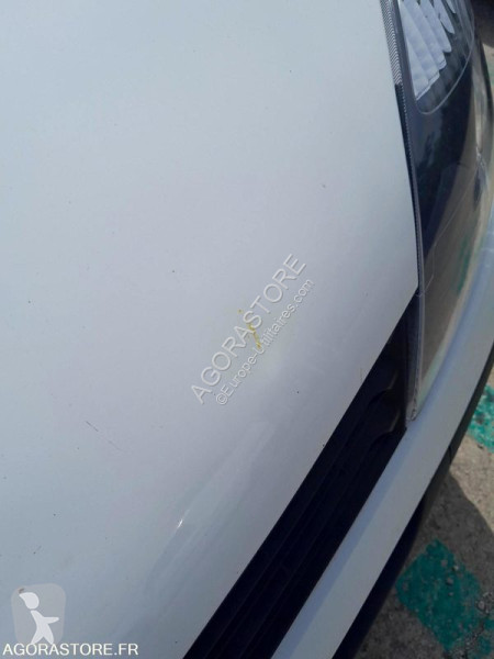 Véhicule utilitaire Renault CLIO