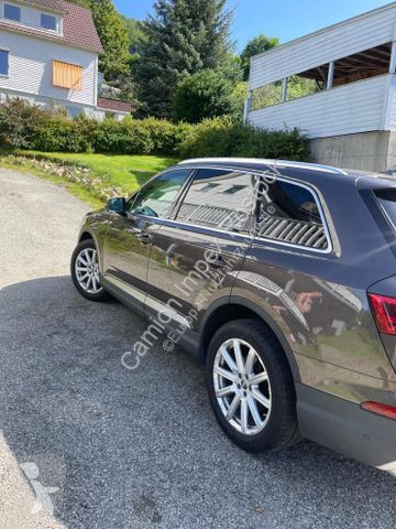 Véhicule utilitaire Audi 50 TDI quattro tiptronic