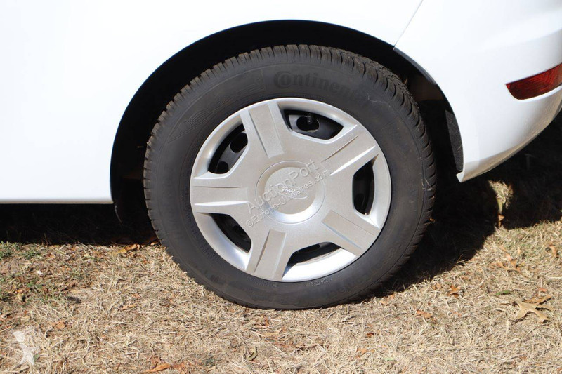 Furgoneta Ford