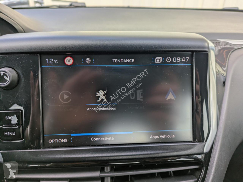 Véhicule utilitaire Peugeot 208 AFFAIRE 1.6...