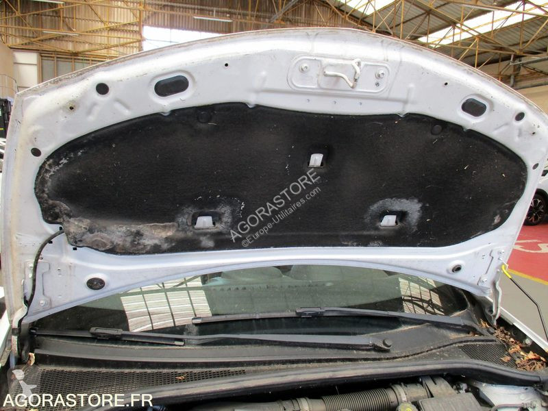 Samochód dostawczy Renault CLIO