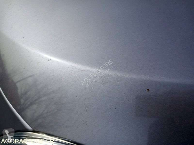 Véhicule utilitaire Renault MEGANE