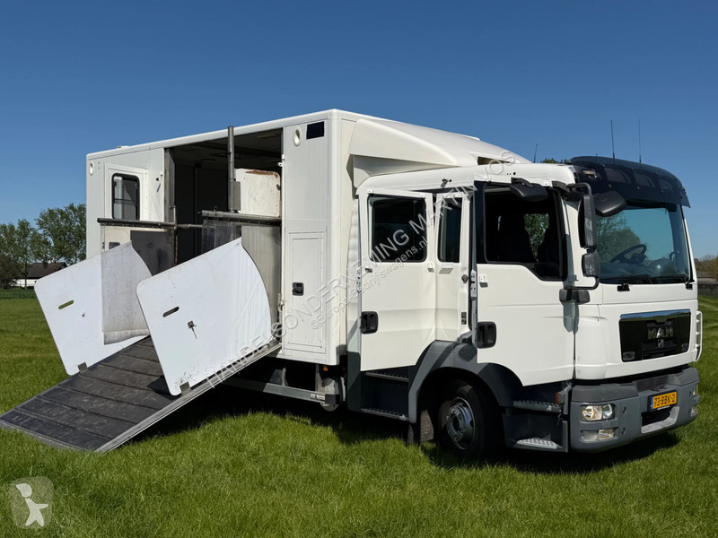عربة نفعية MAN TGL 12.180 PAARDENWAGEN. TGL 12.180