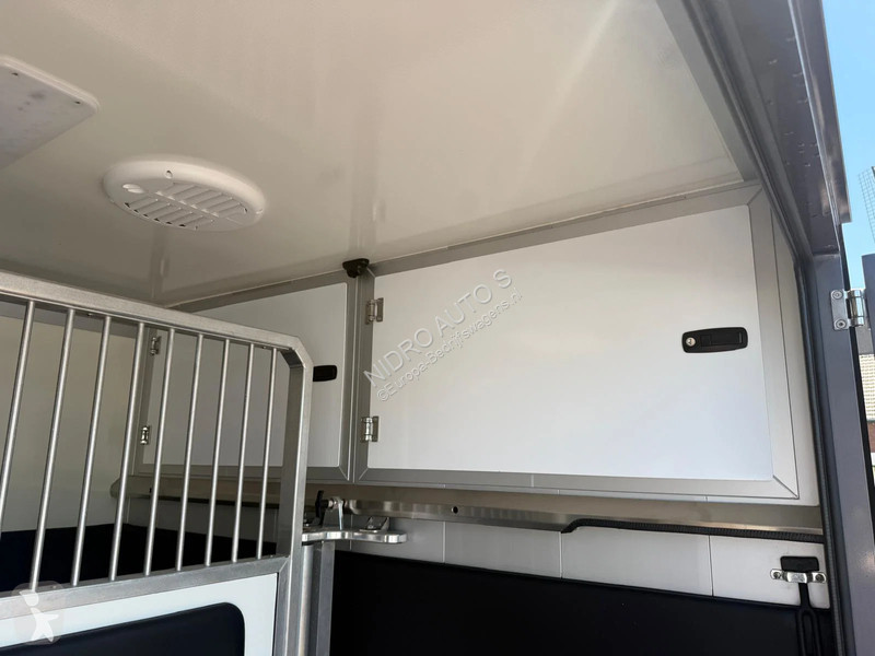 Renault STX S3 Paardenwagen Hengsten uitvoering...