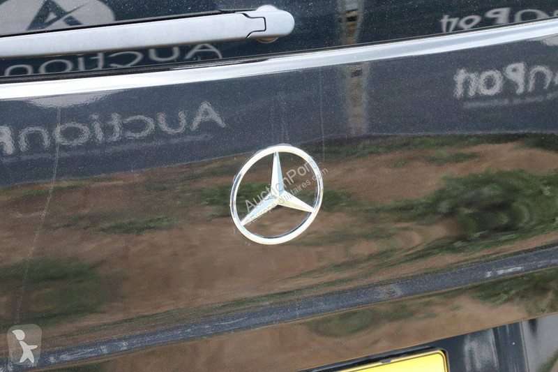 Mercedes  van