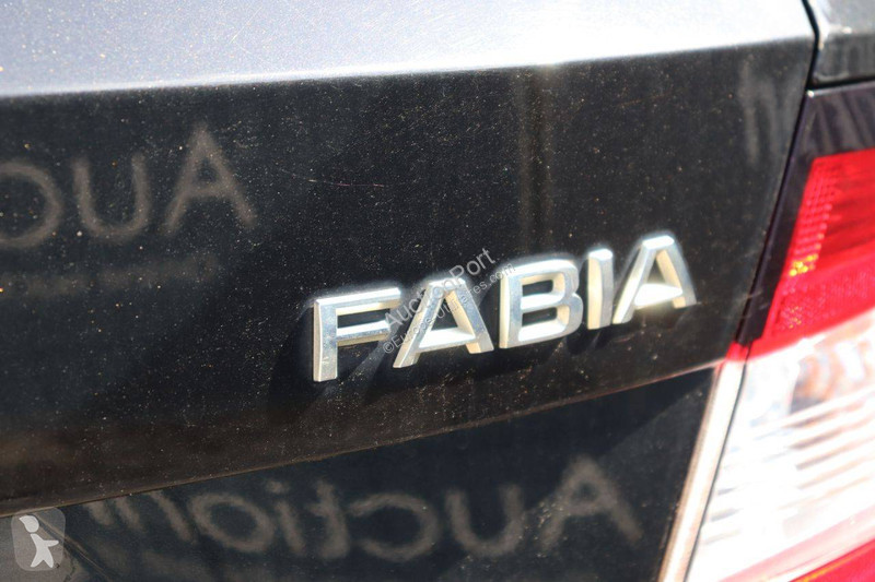 Furgoneta Skoda