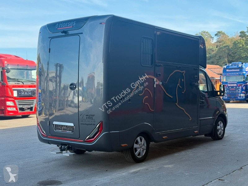 Autoutilitară Mercedes SODIAK HORSE 2 Pferde Luxus