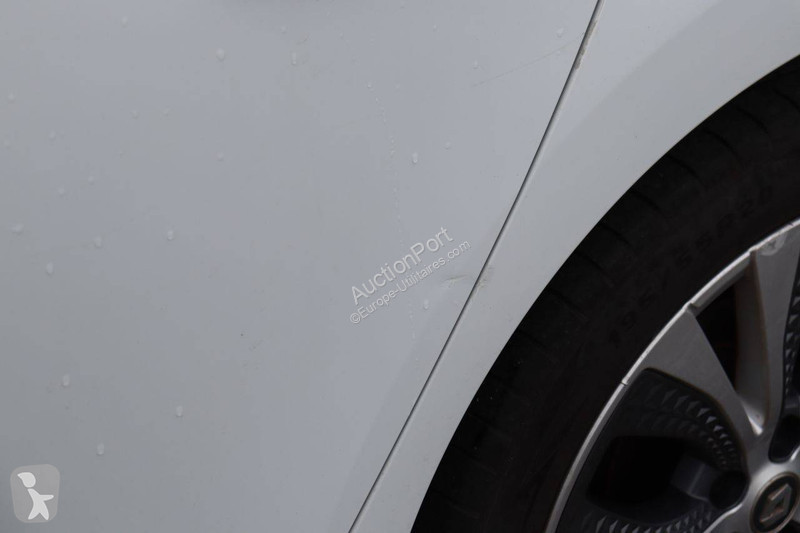 Renault  Scénic van