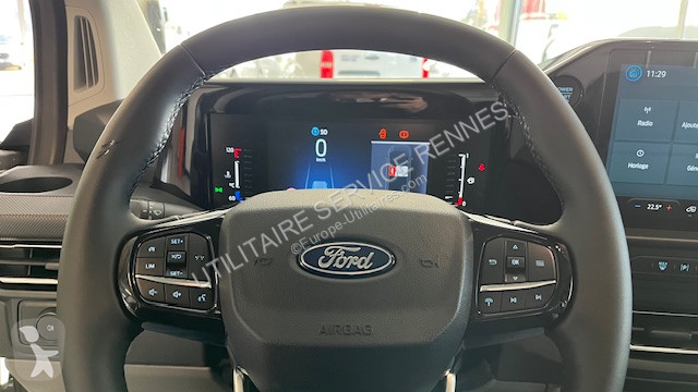 Véhicule utilitaire Ford 300 L1H1 2.0 ECOBLUE...