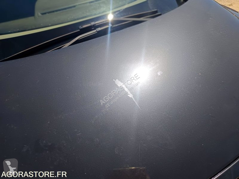 Autoutilitară Renault MEGANE