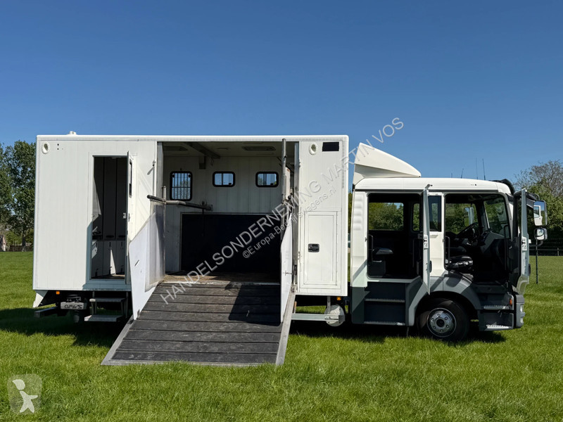 عربة نفعية MAN TGL 12.180 PAARDENWAGEN. TGL 12.180