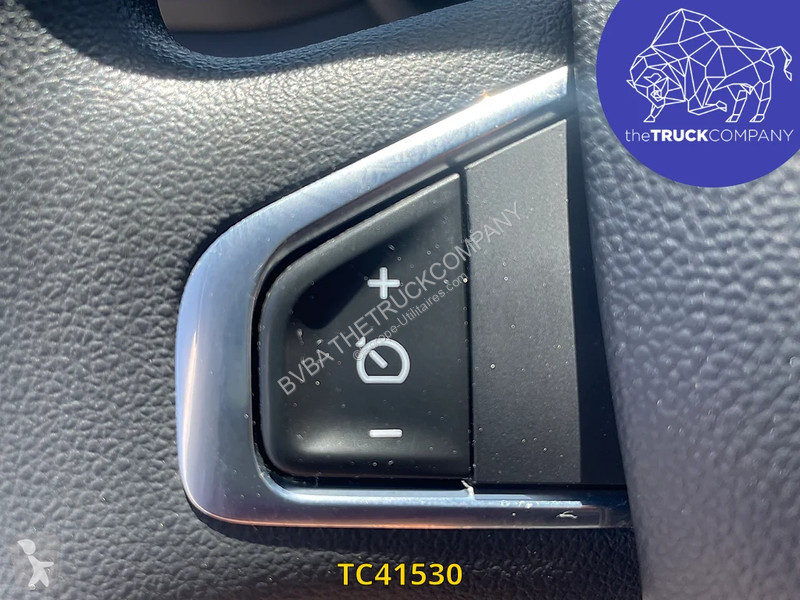 عربة نفعية Renault
