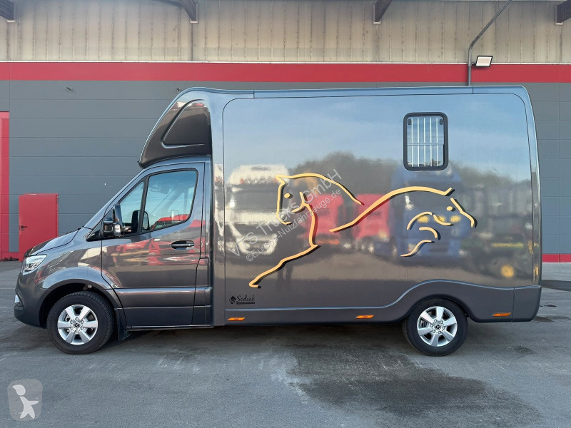 Autoutilitară Mercedes SODIAK HORSE 2 Pferde Luxus