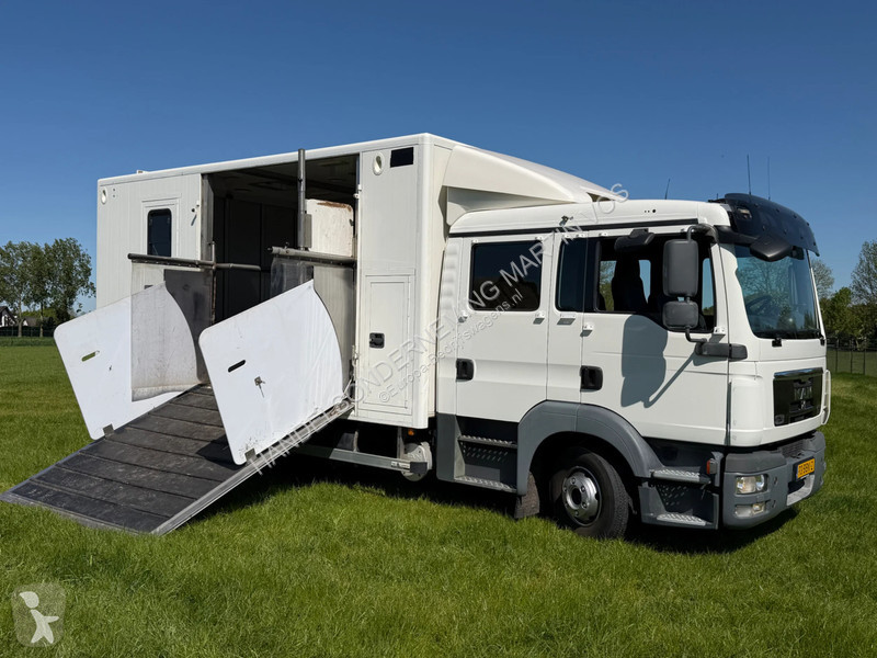 عربة نفعية MAN TGL 12.180 PAARDENWAGEN. TGL 12.180