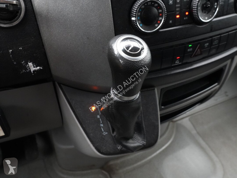 Véhicule utilitaire Mercedes 313 CDI