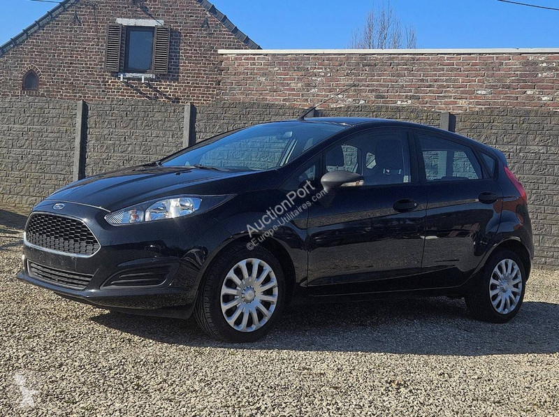 Furgoneta Ford (VII - update) 1.25