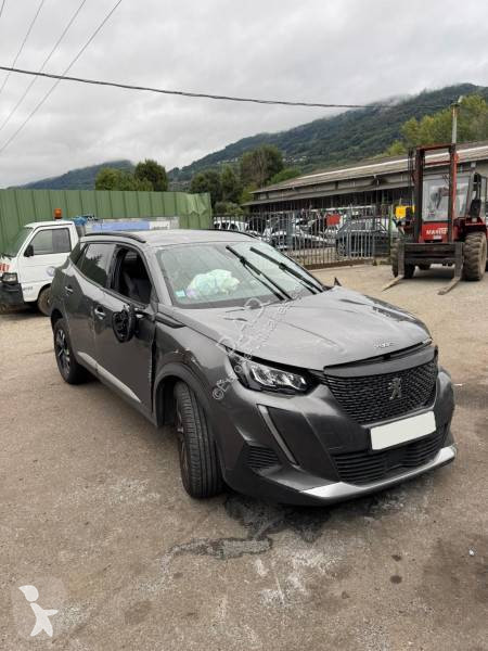 عربة نفعية Peugeot