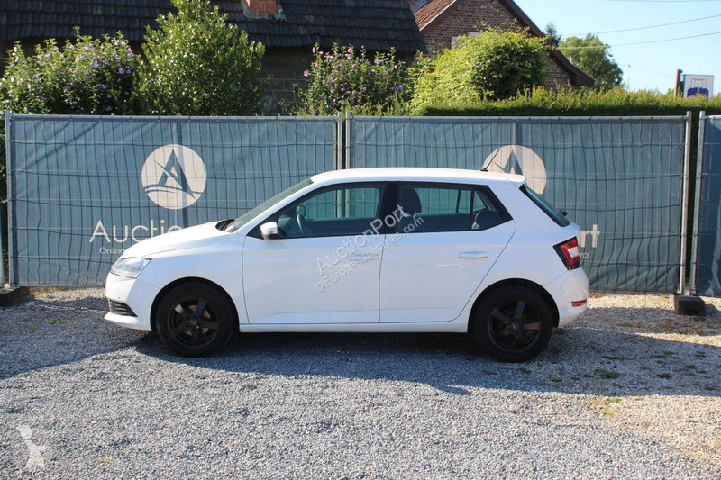 Furgoneta Skoda