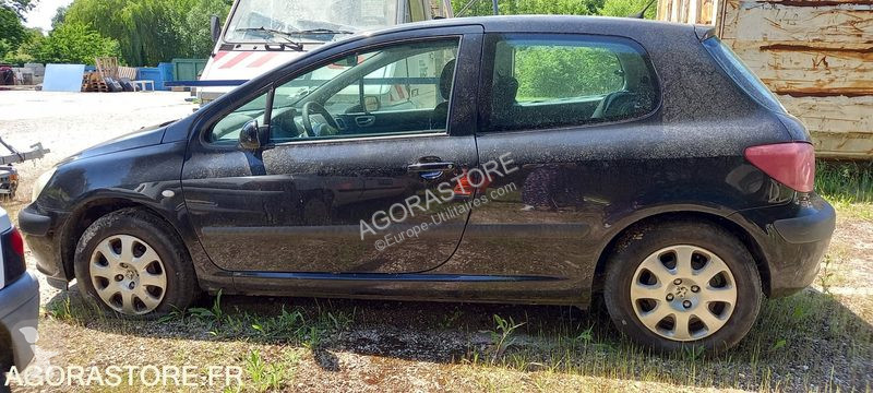 Furgoneta Peugeot 307