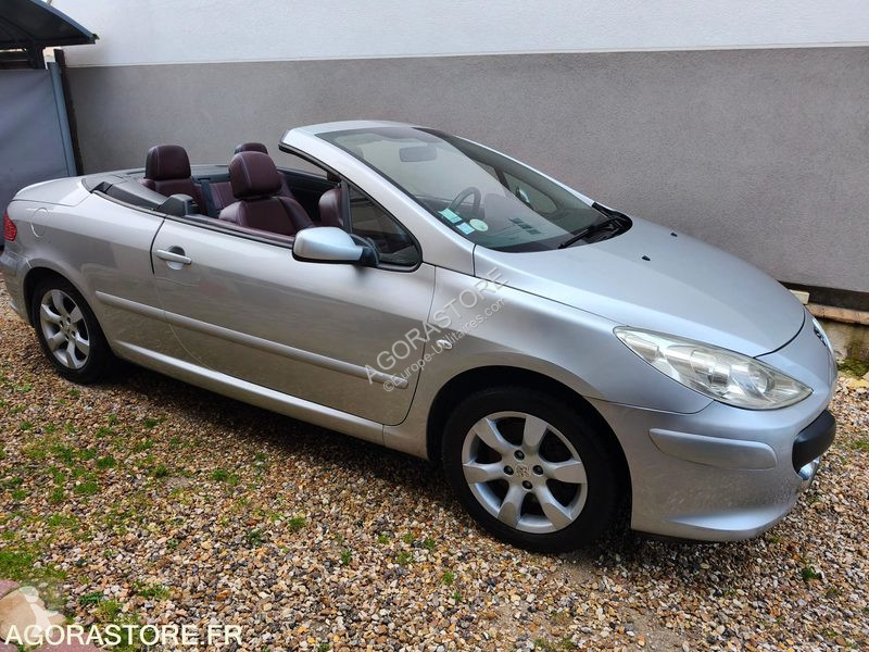 Véhicule utilitaire Peugeot 307