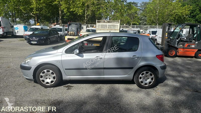 Furgoneta Peugeot 307