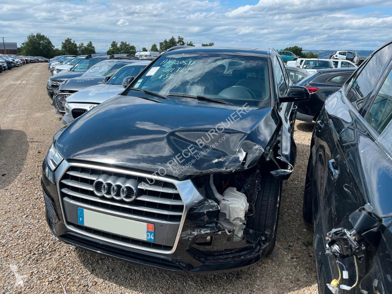Лекотоварен автомобил Audi II 2.0 TDi 120...
