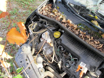 Voiture citadine