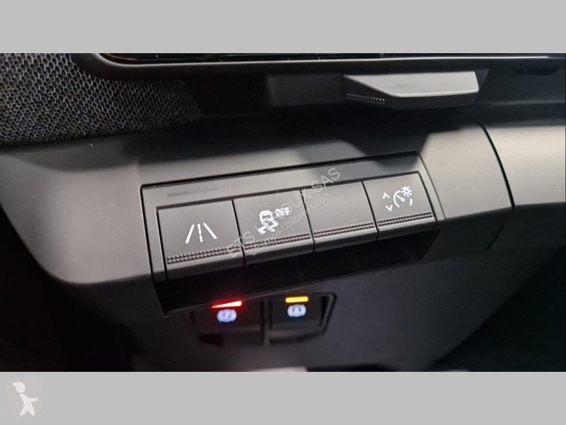 Veicolo commerciale Renault MEGANE E-TECH