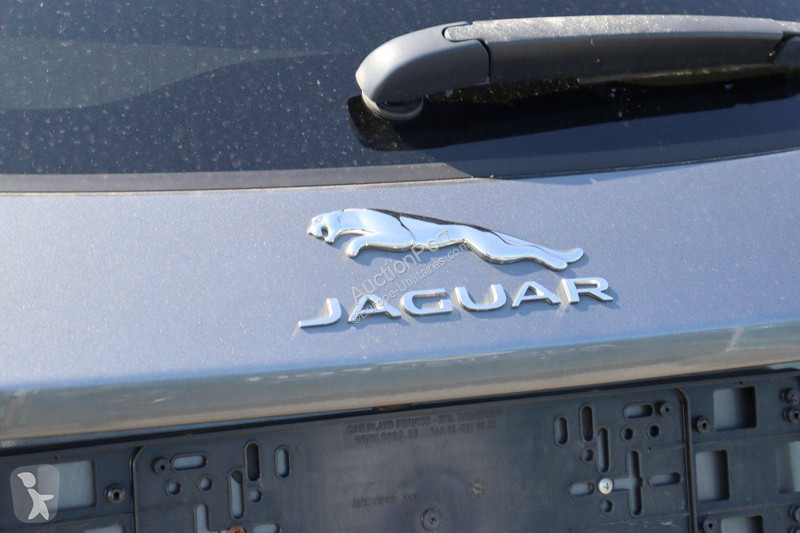 Jaguar  Transporter