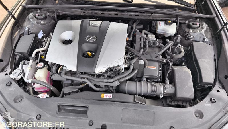 Véhicule utilitaire Lexus ES300H