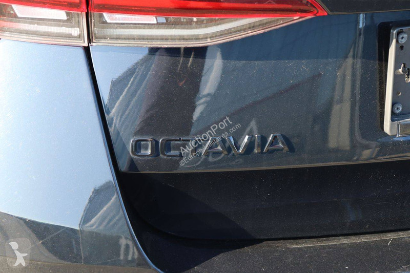Véhicule utilitaire Skoda VIRS