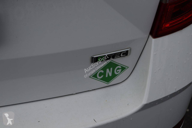 Furgoneta Skoda