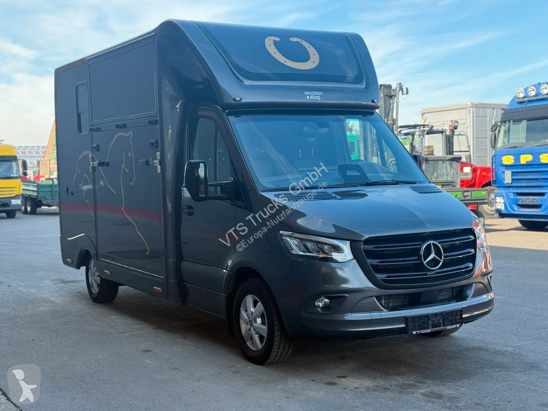 Autoutilitară Mercedes SODIAK HORSE 2 Pferde Luxus