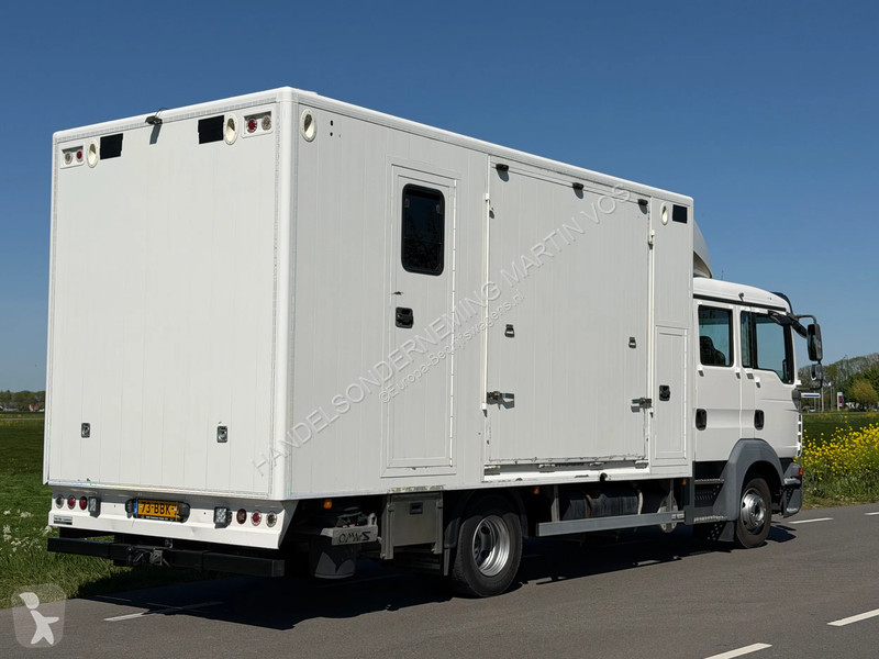 عربة نفعية MAN TGL 12.180 PAARDENWAGEN. TGL 12.180