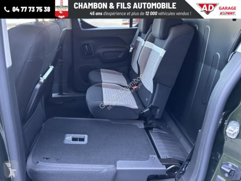 Diesel 130 ch M Automatique Max sans malus van