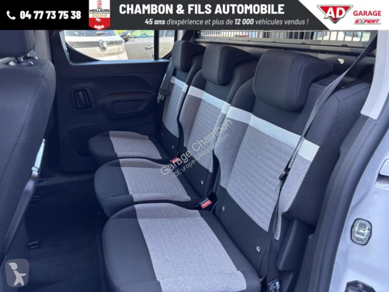 Diesel 130 ch M Automatique Max sans malus van
