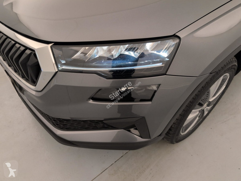 Véhicule utilitaire Skoda