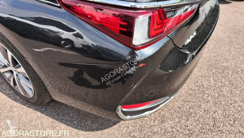Véhicule utilitaire Lexus ES300H