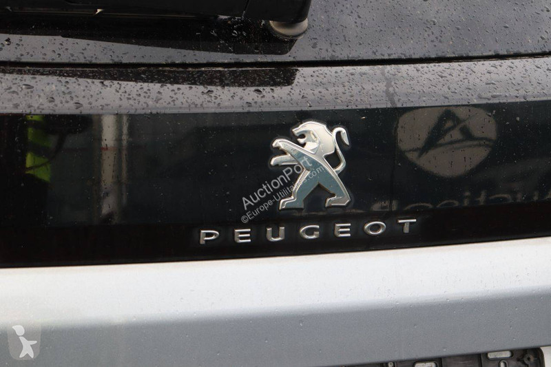 Furgoneta Peugeot