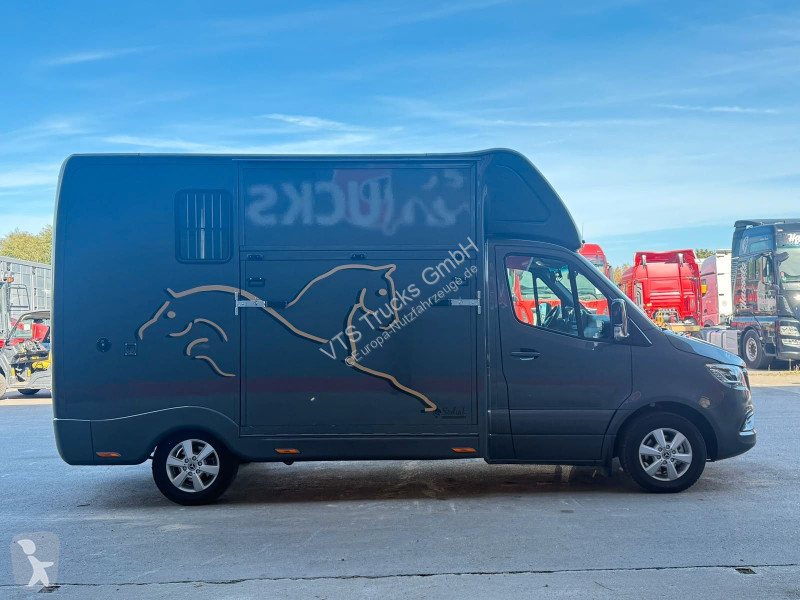 Autoutilitară Mercedes SODIAK HORSE 2 Pferde Luxus