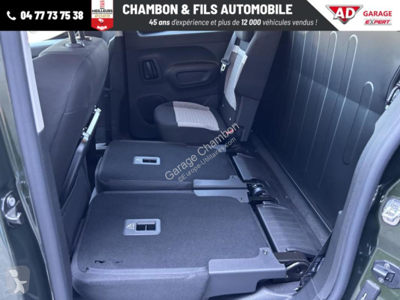 Diesel 130 ch M Automatique Max sans malus van