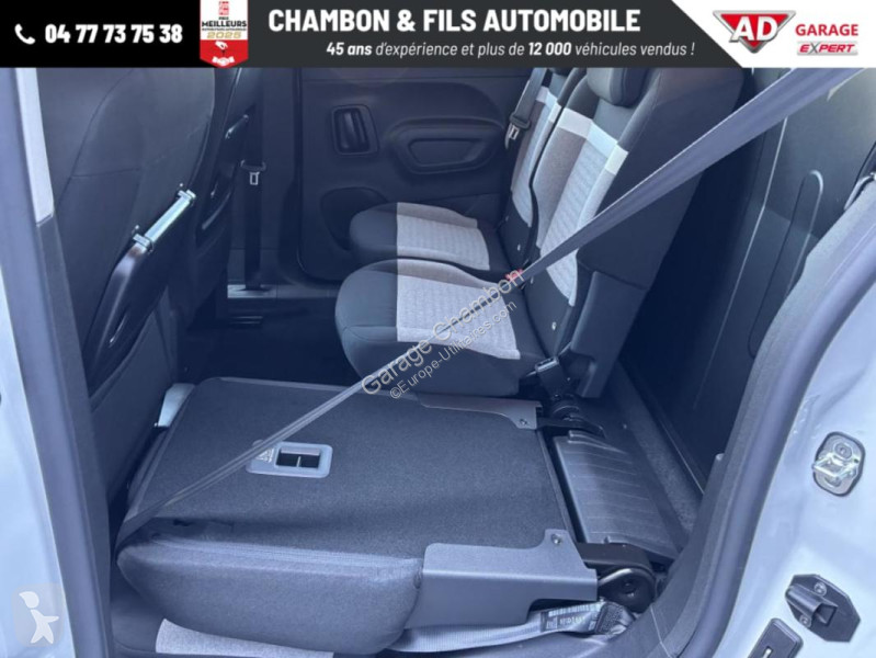 Diesel 130 ch M Automatique Max sans malus van