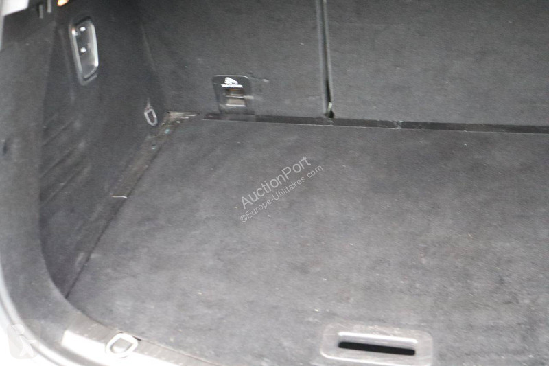 Renault  Scénic van