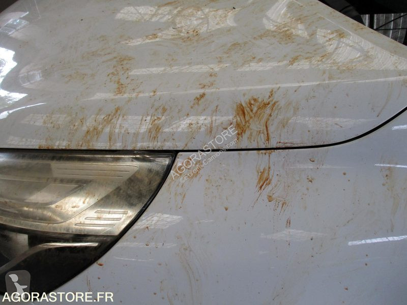 Nyttofordon Renault CLIO