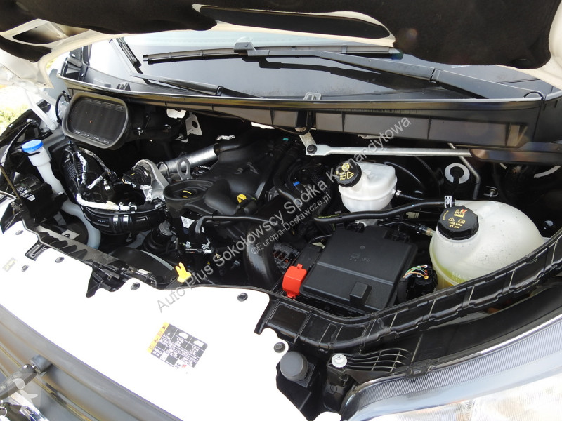 Samochód dostawczy Ford  TRANSIT