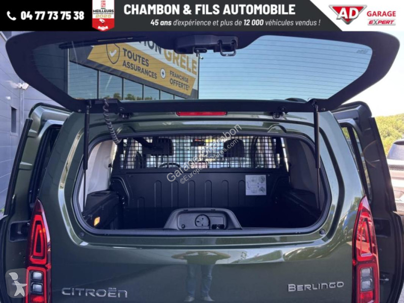 Diesel 130 ch M Automatique Max sans malus van